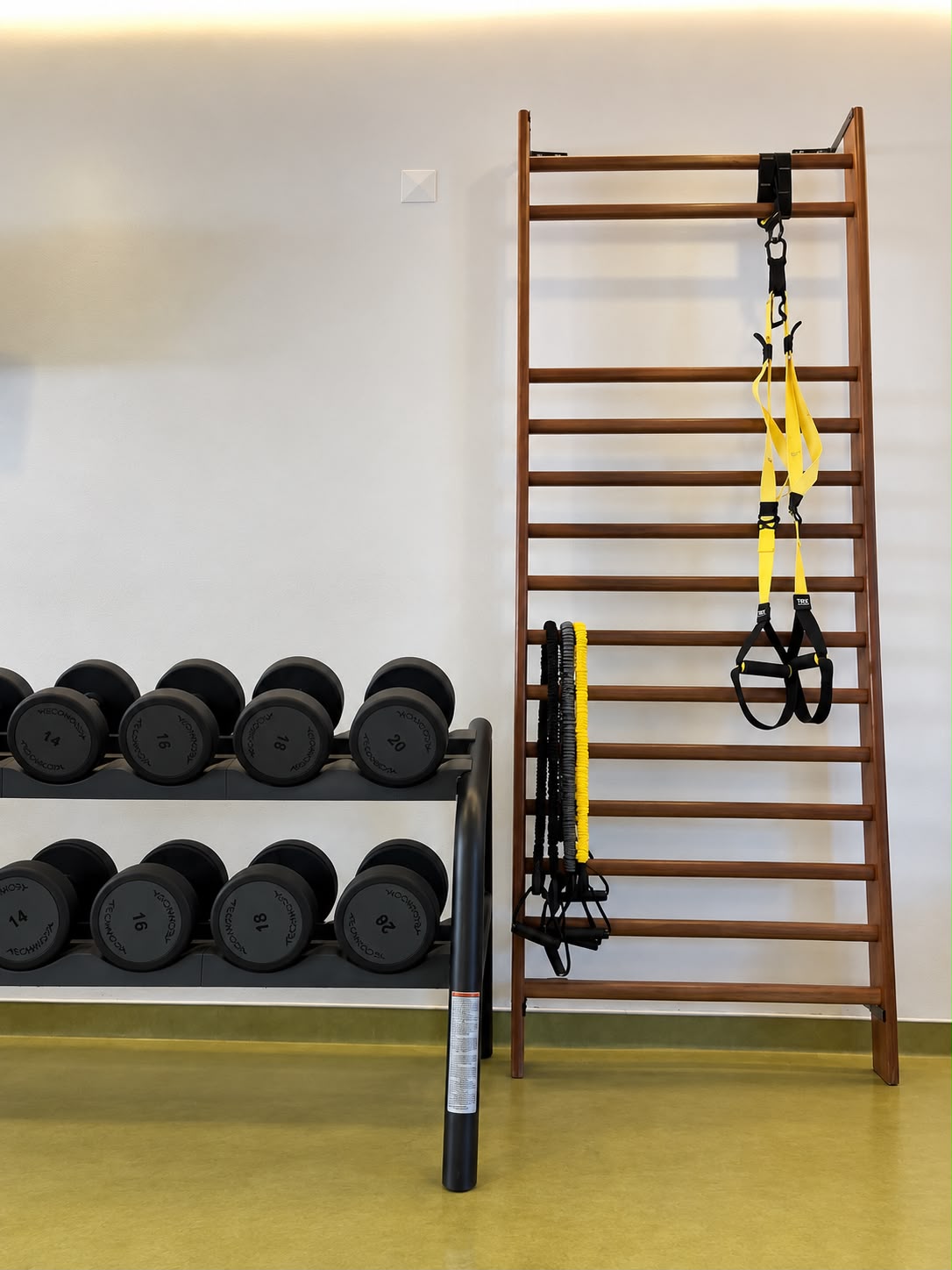Zona de treino funcional com halteres, espaldar e TRX